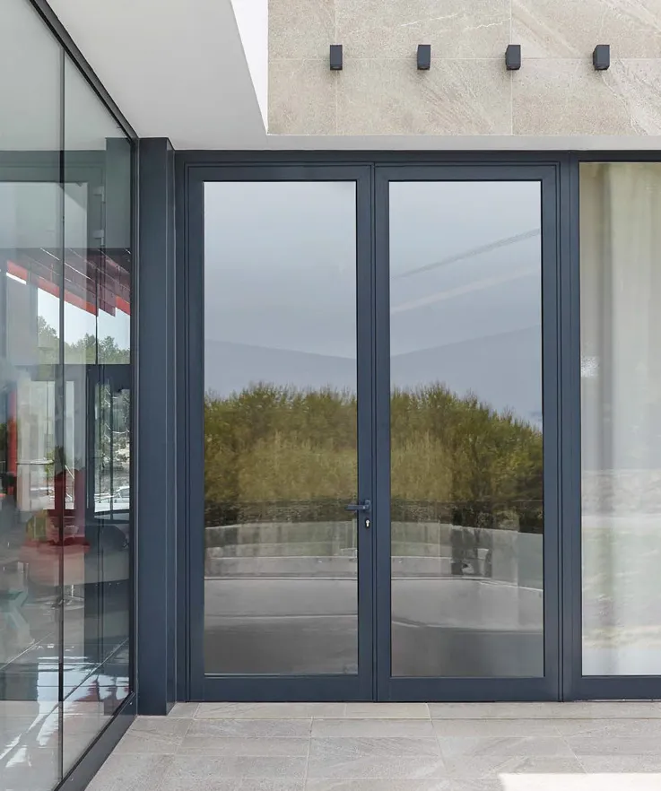 Puerta Millennium 2000